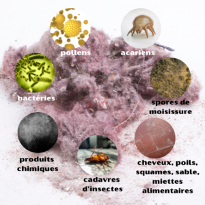 composition de la poussière acariens pollens produits chimiques