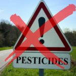 pesticides toxiques pollution maison